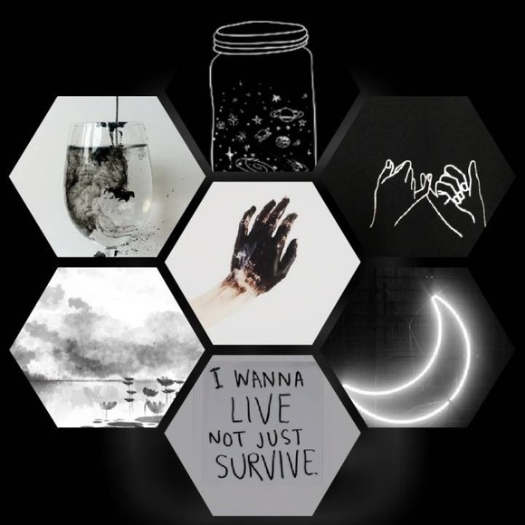 Meet your Posher, Julia - Picture 1 of 1